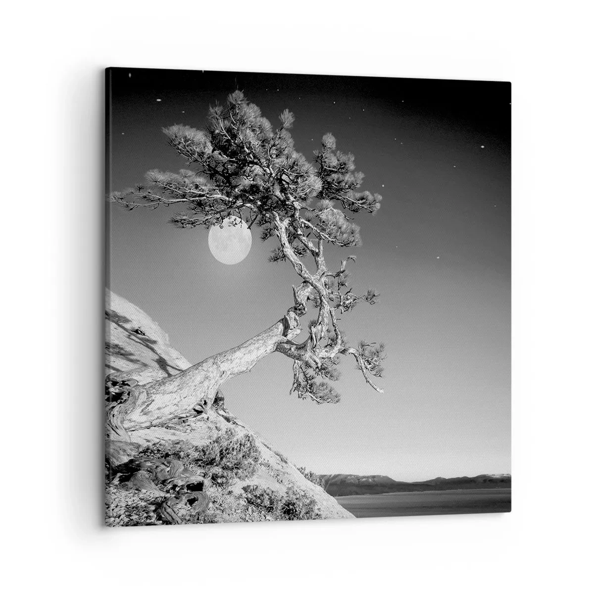 Bild auf Leinwand - Leinwandbild - Siegreiche Kämpferin - 50x50 cm