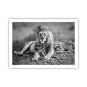 Poster - Königliche Siesta - 70x50 cm