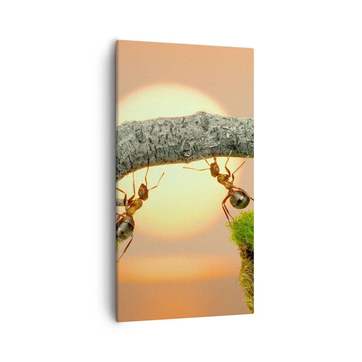 Bild auf Leinwand - Leinwandbild - Glücklich, zusammen arbeiten - 55x100 cm