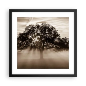 Poster in einem schwarzem Rahmen - Baum der guten Nachrichten  - 40x40 cm