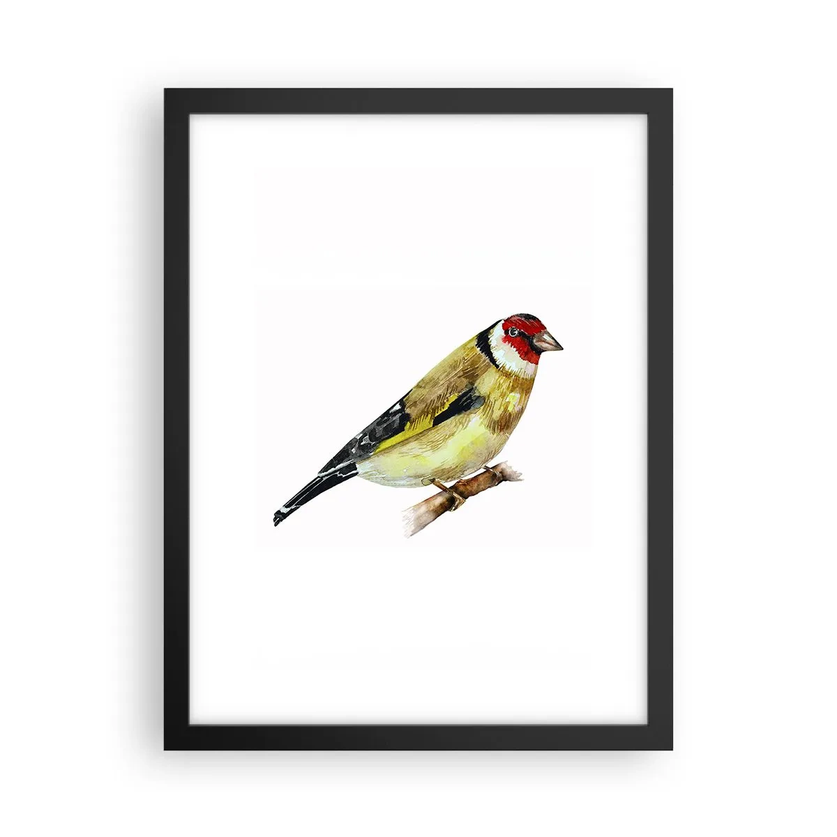 Poster in einem schwarzem Rahmen - Vogelporträt - 30x40 cm