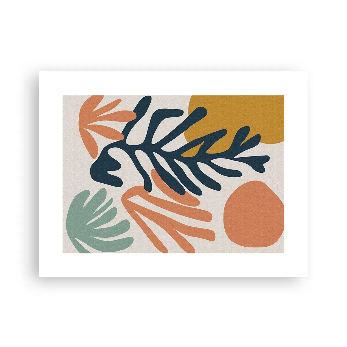 Poster - Korallenmeere - 40x30 cm
