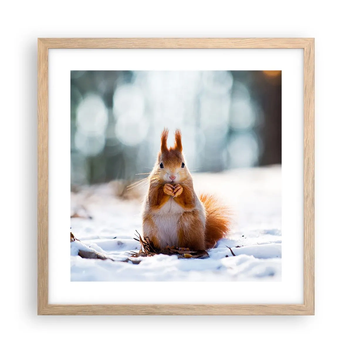 Poster in einem Rahmen aus heller Eiche - Wo schaust du hin? - 40x40 cm