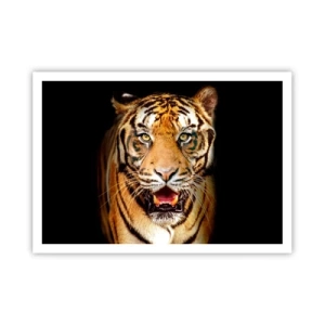 Poster - Ein Tiger mit offenem Maul auf schwarzem Hintergrund - 100x70cm - Wild im Herzen - Moderne Wanddekoration für Wohnzimmer und Schlafzimmer ARTTOR