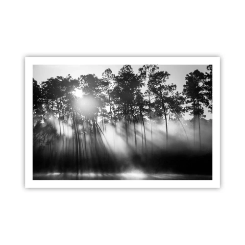 Poster - Unaufhaltsame Sonne - 91x61 cm