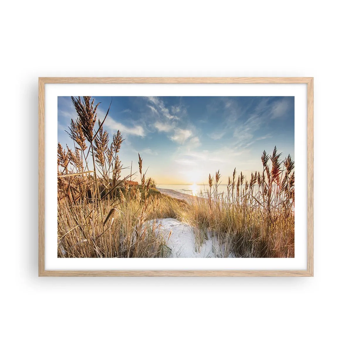 Poster in einem Rahmen aus heller Eiche - Nordstrand - 70x50 cm