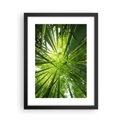 Poster in einem schwarzem Rahmen - In einem Bambushain - 30x40 cm
