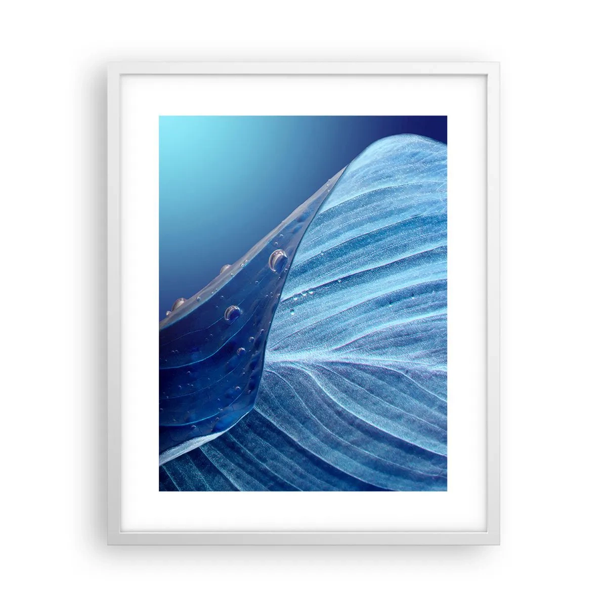 Poster in einem weißen Rahmen - Versteckte Tropfen vom Blau - 40x50 cm