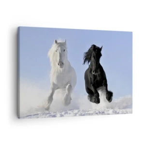 Bild auf Leinwand - Leinwandbild - Ein weißes und ein schwarzes Pferd galoppieren durch den Schnee - 70x50cm - Schwarz-Weiß-Galopp - Moderne Wanddekoration für Wohnzimmer und Schlafzimmer ARTTOR