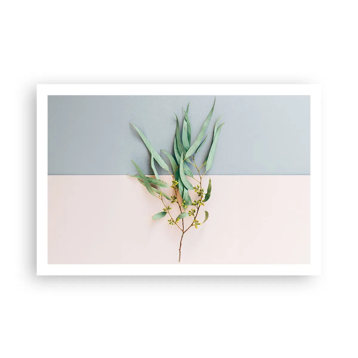 Poster - Pastellige Subtilität - 91x61 cm