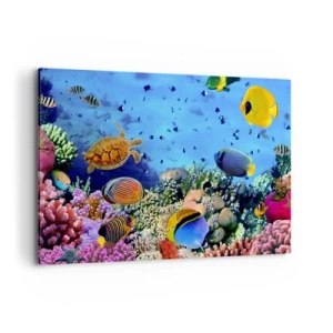 Bild auf Leinwand - Leinwandbild - Korallenriff mit bunten Fischen und einer Meeresschildkröte - 100x70cm - Und was wissen wir über das Leben ... - Moderne Wanddekoration für Wohnzimmer und Schlafzimmer ARTTOR