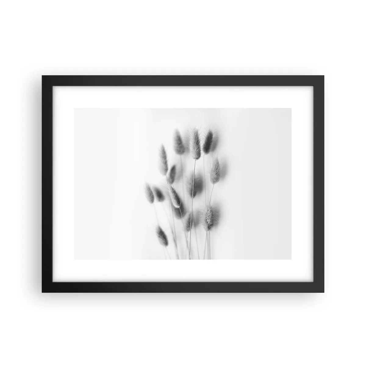Poster in einem schwarzem Rahmen - Eure flauschige Grashoheit - 40x30 cm