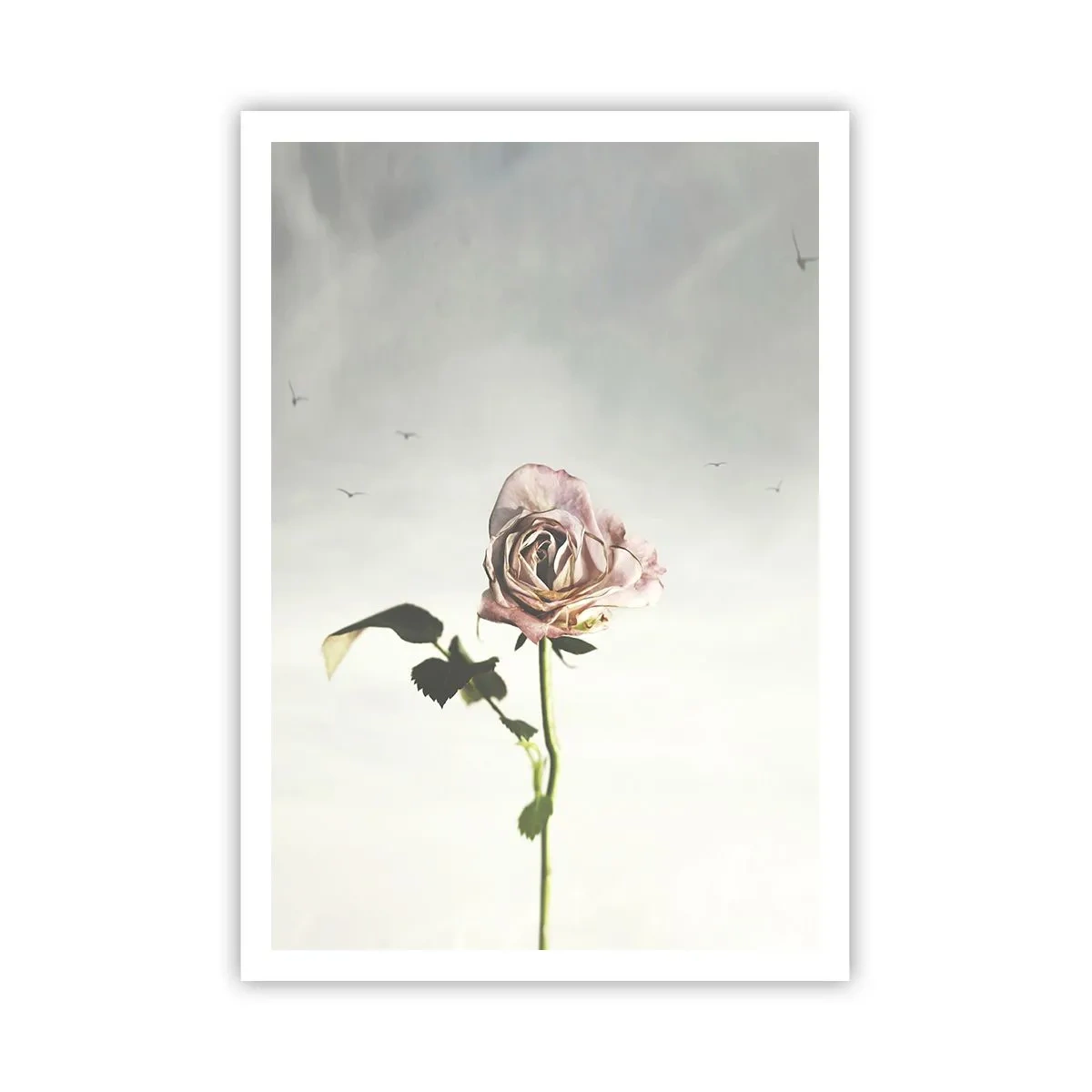 Poster - Begrüßung des Frühlings - 70x100 cm