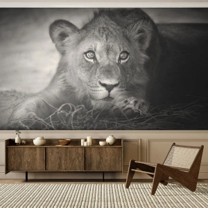 Maßgeschneiderte Fototapete Premium Canvas - Königlicher Welpe - Tiere, Löwe, Schwarz und weiß