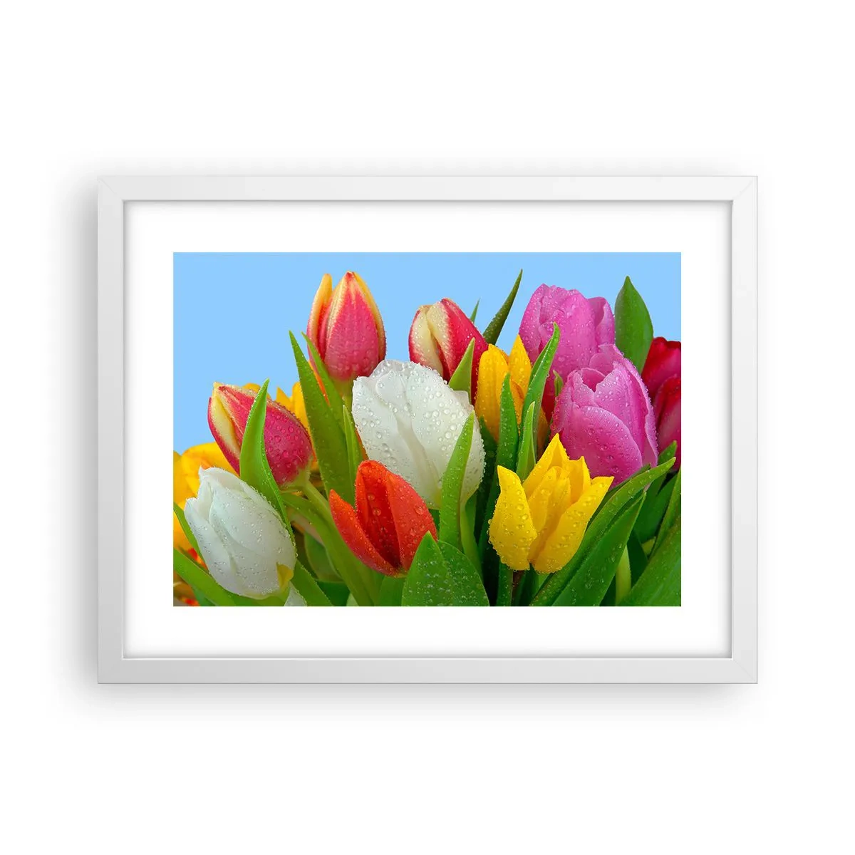 Poster in einem weißen Rahmen - Ein blumiger Regenbogen in Tautropfen - 40x30 cm