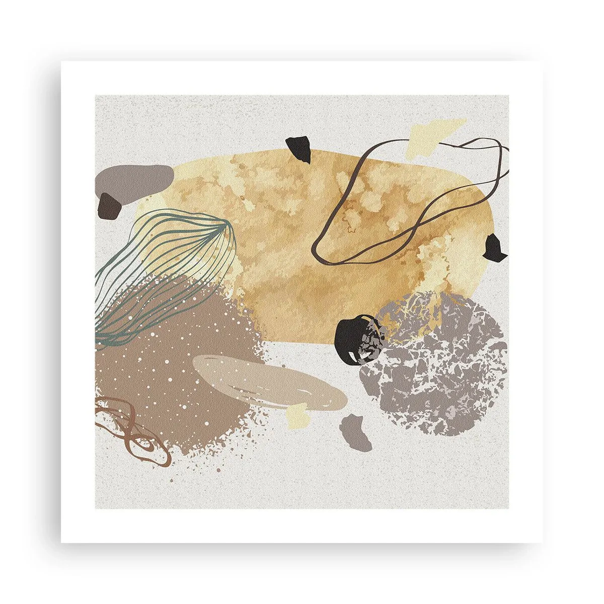 Poster - Angewandte Plumkologie - 50x50 cm