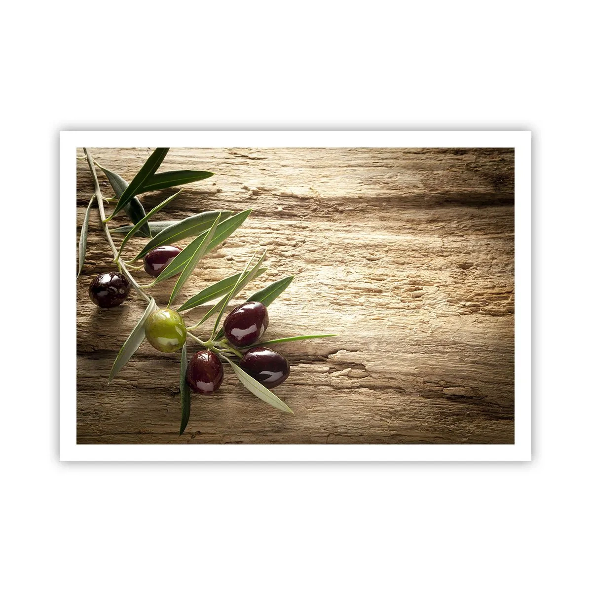 Poster - Olivenzweig mit Früchten auf einem Hintergrund aus gealtertem Holz - 100x70cm - Direkt aus der Natur - Moderne Wanddekoration für Wohnzimmer und Schlafzimmer ARTTOR