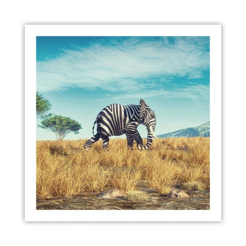 Poster - Grau ist nicht mehr in Mode - 60x60 cm