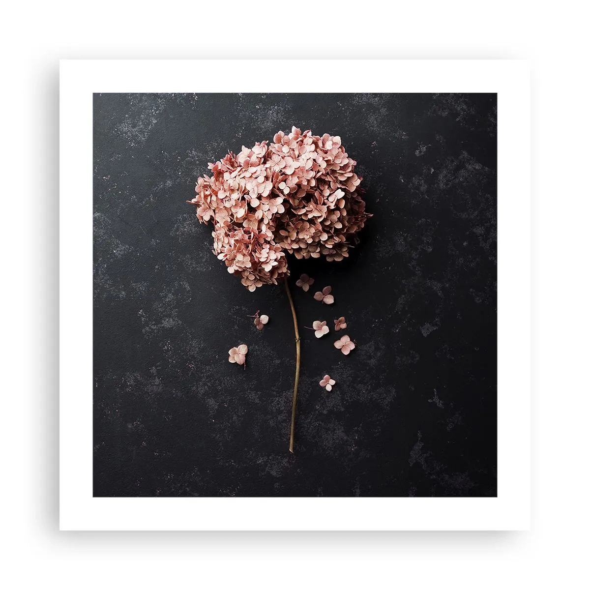 Poster - Wirklich romantisches Zeichen - 50x50 cm