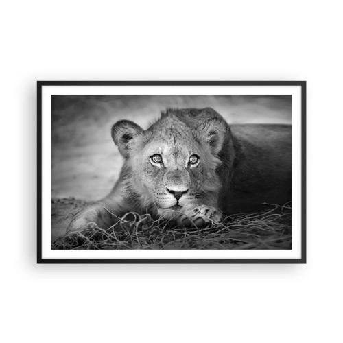 Poster in einem schwarzem Rahmen - Königlicher Welpe - 91x61 cm