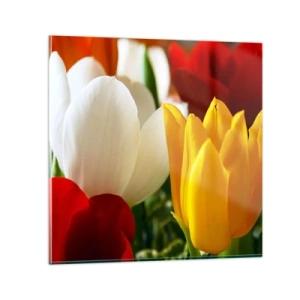 Glasbild - Bild auf glas - Tulpenfieber - 70x70 cm
