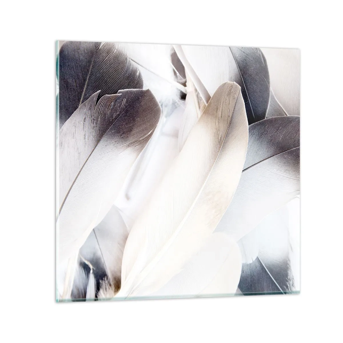 Glasbild - Bild auf glas - Fast engelhaft - 70x70 cm