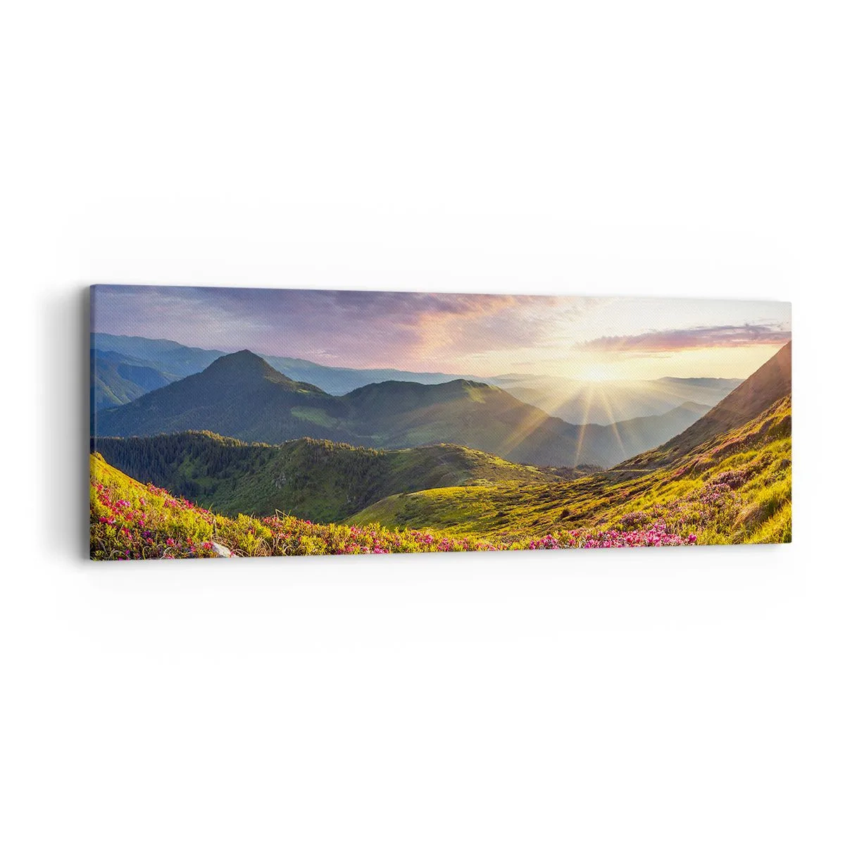 Bild auf Leinwand - Leinwandbild - Frische am Bergmorgen - 90x30 cm