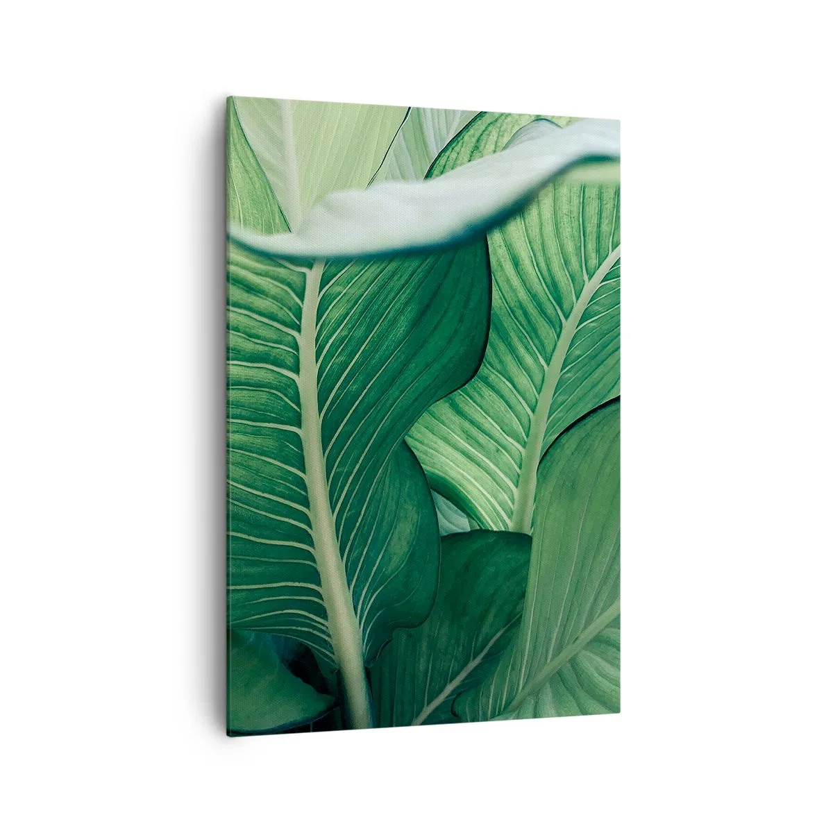 Bild auf Leinwand - Leinwandbild - Grüne Blätter mit ausdrucksstarken Details und Struktur - 70x100cm - Intensiv grünes Leben - Moderne Wanddekoration für Wohnzimmer und Schlafzimmer ARTTOR