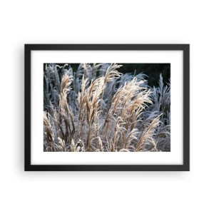 Poster in einem schwarzem Rahmen - Gekleidet mit Frost - 40x30 cm