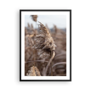 Poster in einem schwarzem Rahmen - Nahaufnahme von trockenem Schilf in natürlichen Farbtönen vor dem Himmel - 50x70cm - Zeit, mit dem Wind zu gehen - Moderne Wanddekoration für Wohnzimmer und Schlafzimmer ARTTOR