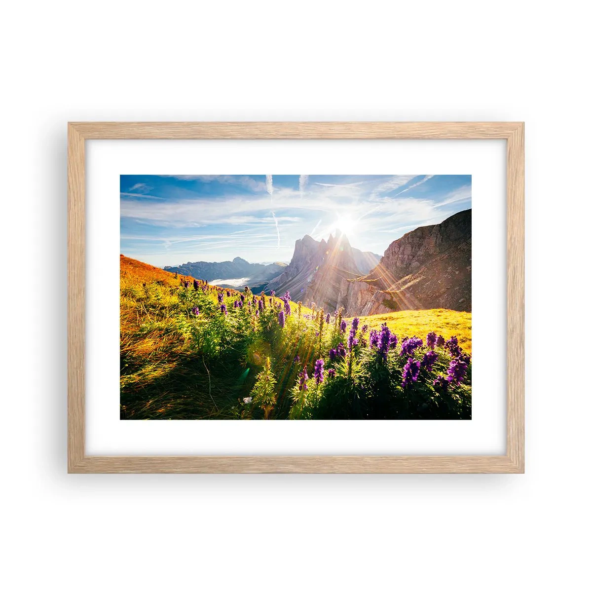 Poster in einem Rahmen aus heller Eiche - Das geheime Leben der Kräuter - 40x30 cm