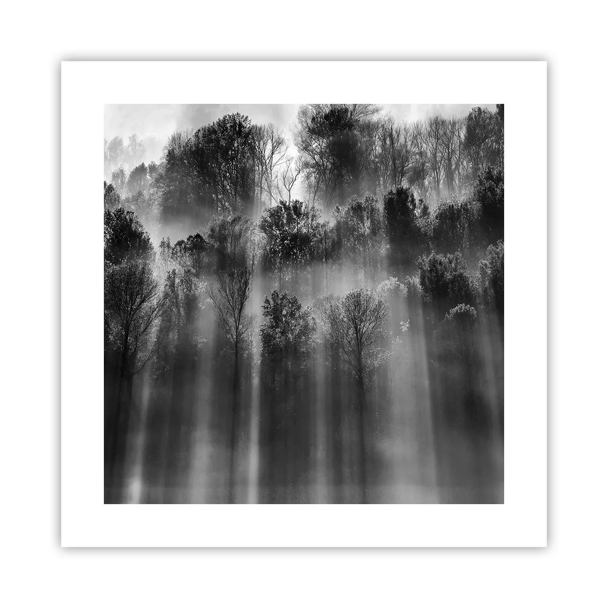 Poster - In Lichtstrahlen - 40x40 cm