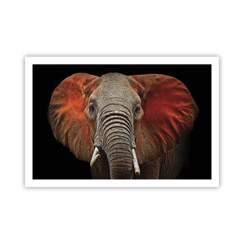 Poster - Ich bin wild und du? - 91x61 cm