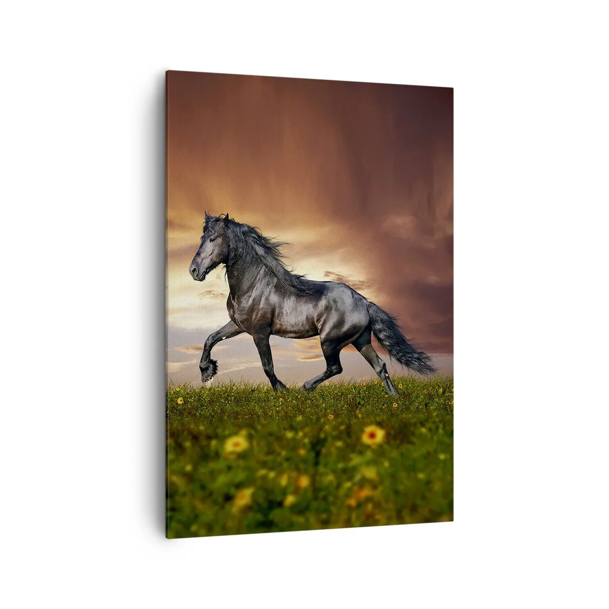 Bild auf Leinwand - Leinwandbild - Ein schwarzes Pferd galoppiert gegen die untergehende Sonne - 70x100cm - Schwarzer Prinz - Moderne Wanddekoration für Wohnzimmer und Schlafzimmer ARTTOR