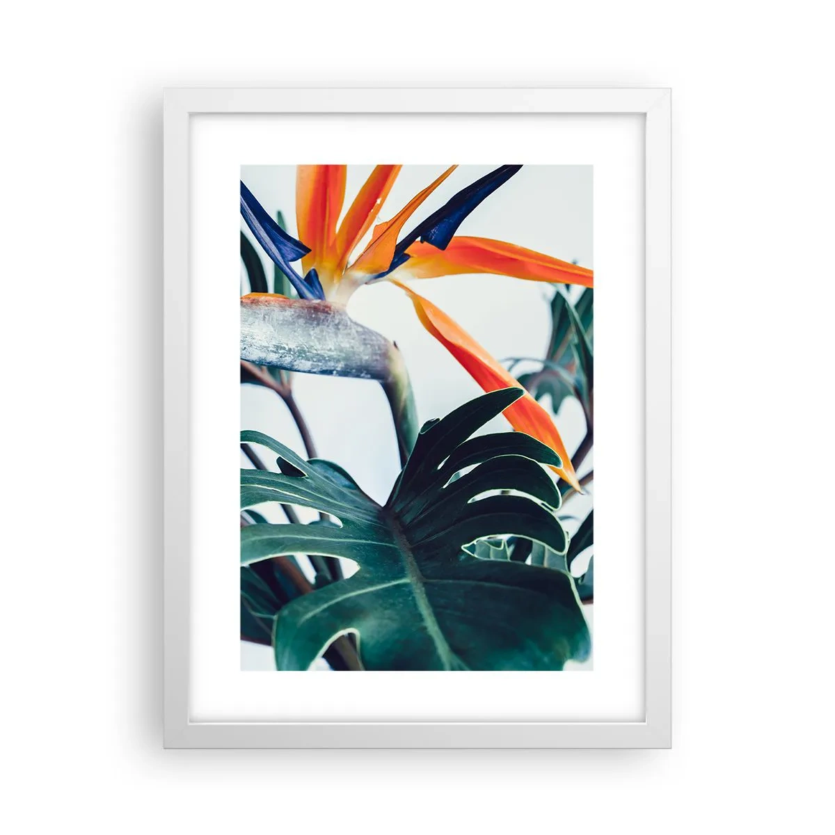 Poster in einem weißen Rahmen - Vogelbusch - 30x40 cm