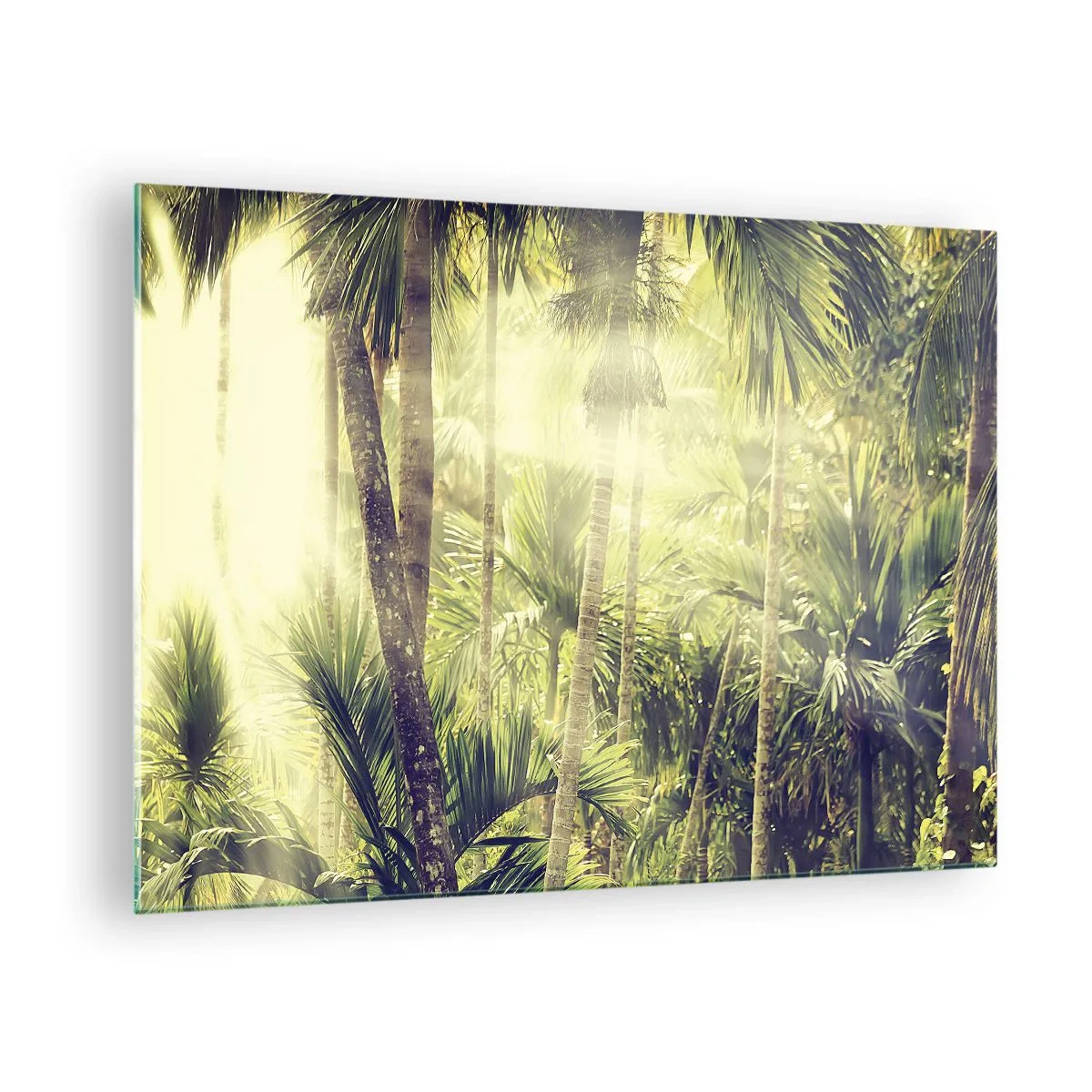 Glasbild - Bild auf glas - Grüner tropischer Dschungel im Sonnenschein - 70x50cm - In grüner Hitze - Moderne Wanddekoration für Wohnzimmer und Schlafzimmer ARTTOR
