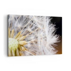 Bild auf Leinwand - Leinwandbild - Makrofotografie eines Löwenzahns mit zarten Samen - 120x80cm - Kurz vor dem Abflug - Moderne Wanddekoration für Wohnzimmer und Schlafzimmer ARTTOR