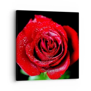 Bild auf Leinwand - Leinwandbild - Das ist Liebe - 30x30 cm