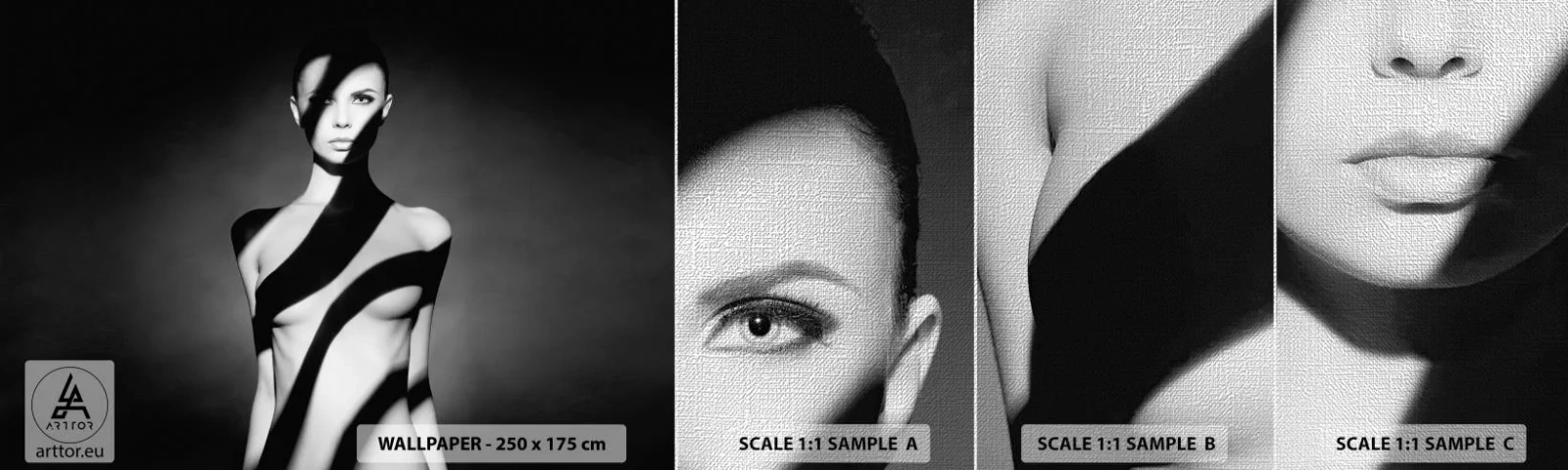 Fototapeten Muster Premium Canvas - In Glanz und Schatten - Frau, Körper, Stück - 100x30 cm