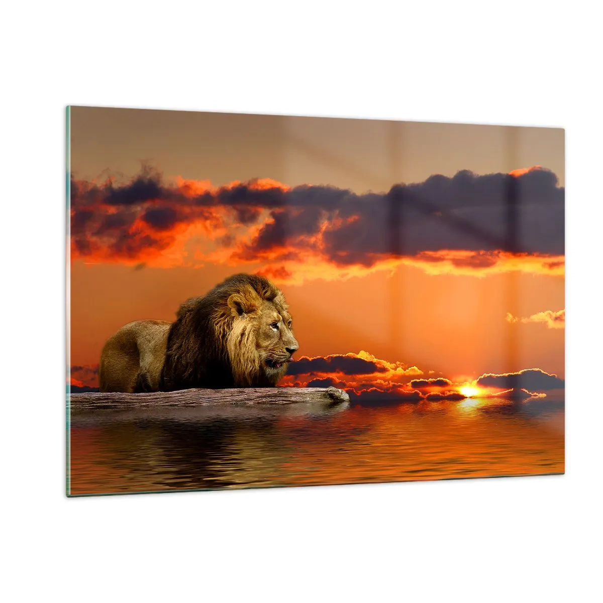 Glasbild - Bild auf glas - Ein Löwe vor dem Hintergrund der untergehenden Sonne - 120x80cm - König der Natur - Moderne Wanddekoration für Wohnzimmer und Schlafzimmer ARTTOR