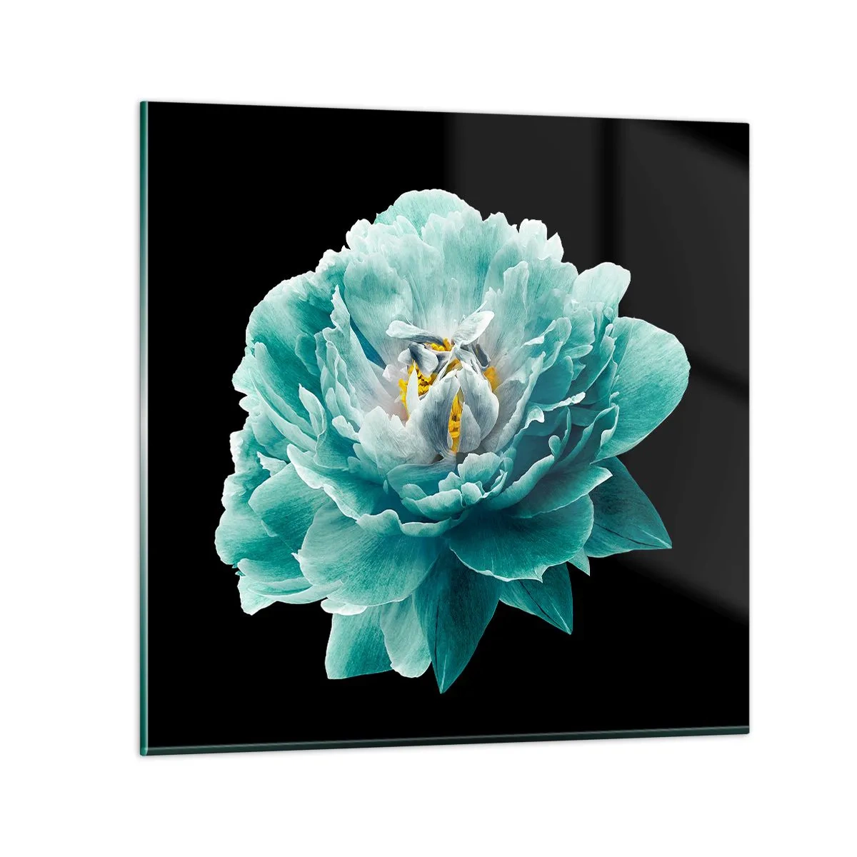 Glasbild - Bild auf glas - Blaue und goldene Blütenblätter - 30x30 cm
