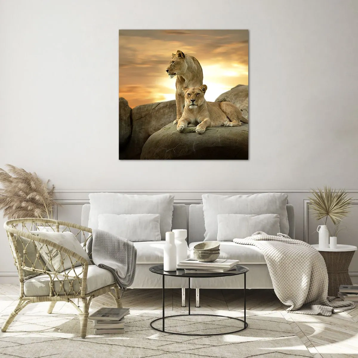 Glasbild - Bild auf glas - Königliche Majestät - 60x60 cm