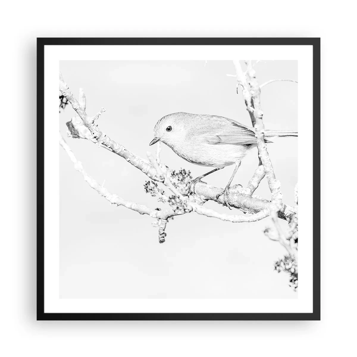 Poster in einem schwarzem Rahmen - Wintermorgen - 60x60 cm