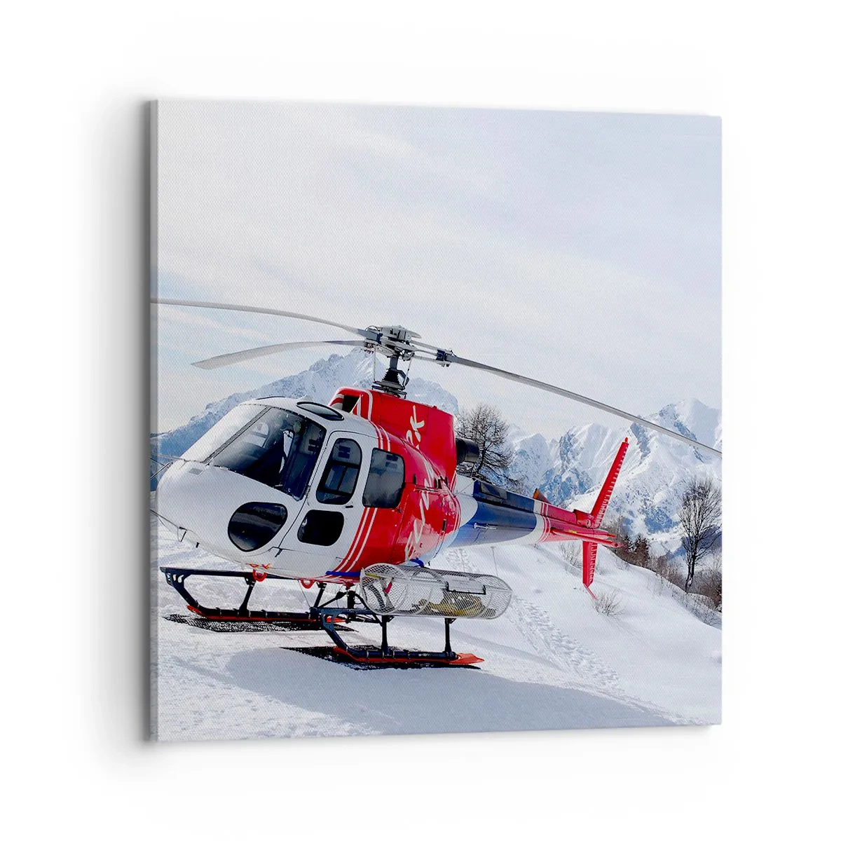 Bild auf Leinwand - Leinwandbild - Immer bereit - 70x70 cm