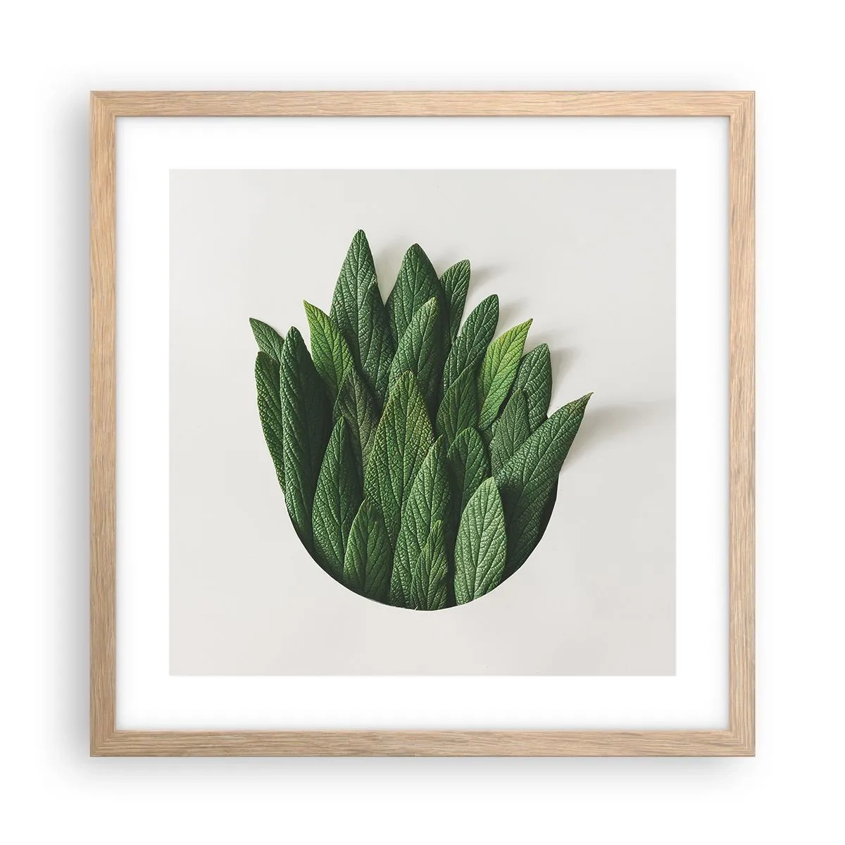 Poster in einem Rahmen aus heller Eiche - Ungebremste Neugier - 40x40 cm