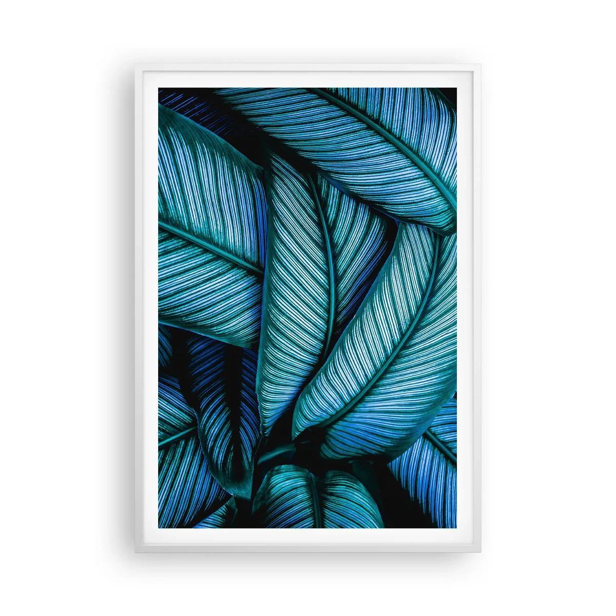 Poster in einem weißen Rahmen - Lebenslinien - 70x100 cm