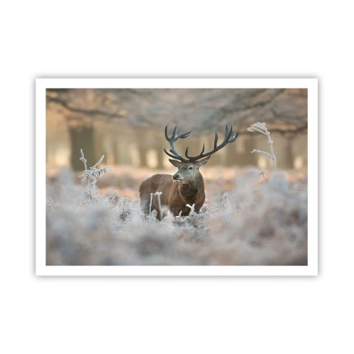 Poster - Ein Reh auf einer frostigen Lichtung in einem Winterwald mit dezenten Farben - 100x70cm - Ein flotter Morgen - Moderne Wanddekoration für Wohnzimmer und Schlafzimmer ARTTOR