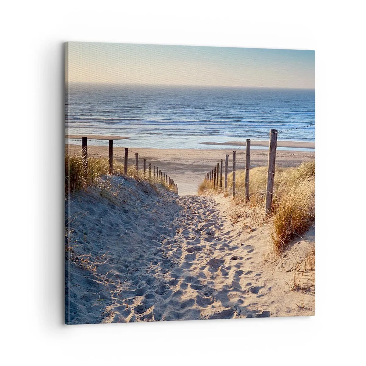 Bild auf Leinwand - Leinwandbild - Das Rauschen des Meeres, der Gesang der Vögel, ein wilder Strand im Gras ... - 60x60 cm