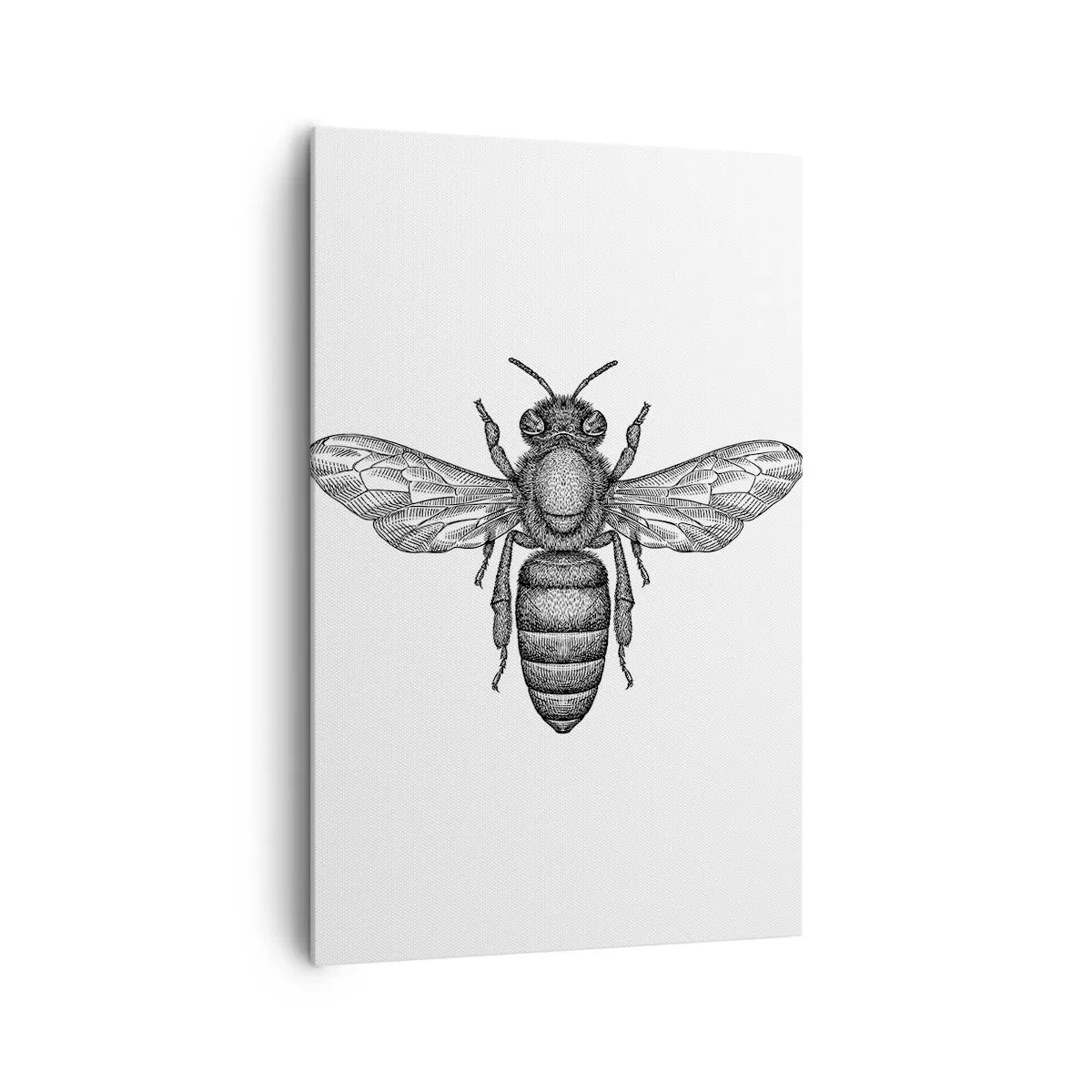 Bild auf Leinwand - Leinwandbild - Ein Cartoon-Bienenmotiv auf weißem Hintergrund im minimalistischen Stil. - 80x120cm - Insektenporträt - Moderne Wanddekoration für Wohnzimmer und Schlafzimmer ARTTOR