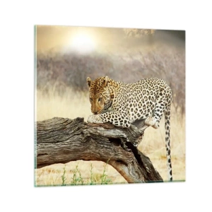 Glasbild - Bild auf glas - Ich gehe meine eigenen Wege - 60x60 cm